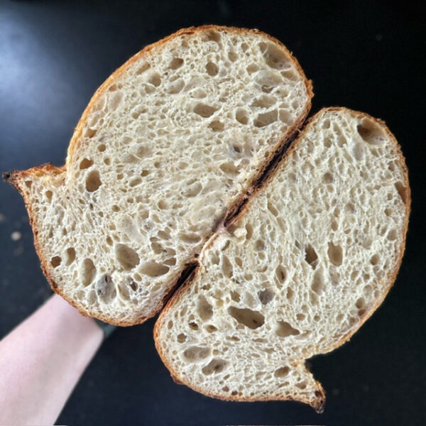 Genuine 100% Artisan Miche Sourdough Bread | Artisan Home Bakery in Carlstadt, New Jersey | Free Delivery to Your Doorstep