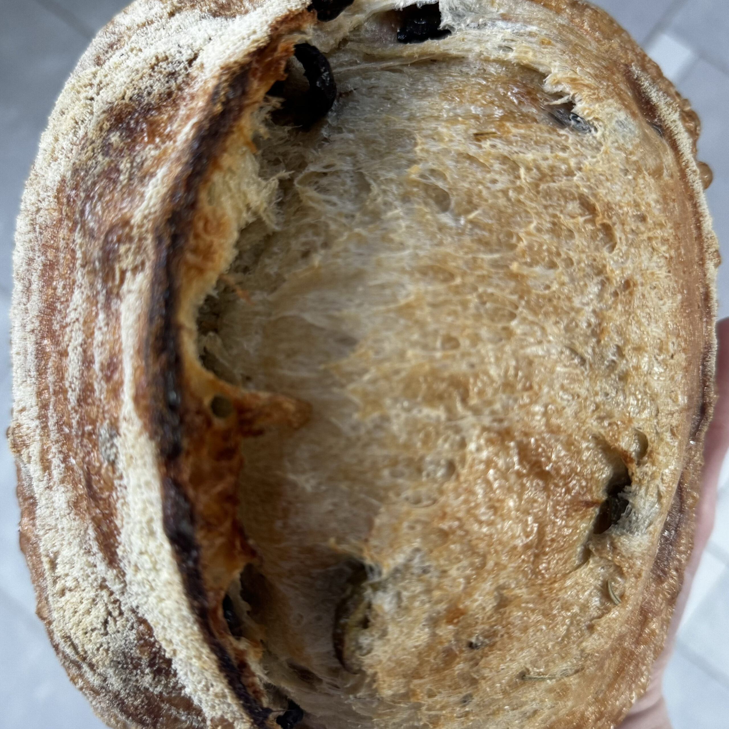 Genuine 100% Olive Sourdough Bread | Artisan Home Bakery, Carlstadt, New Jersey | Free Delivery to Your Doorstep