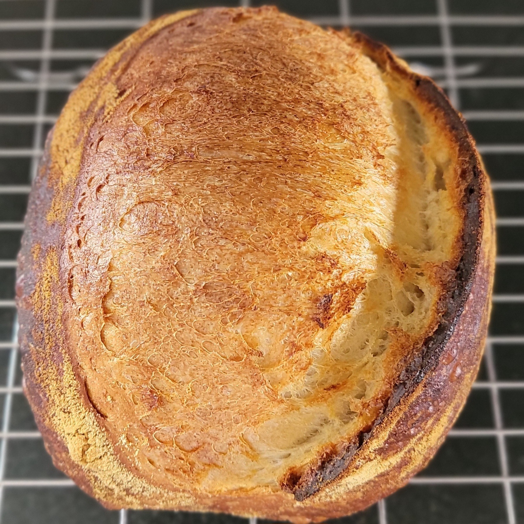 Our Sourdough Bakes Merchandise Artisan Home Bakery